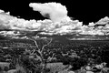 Contemplation 2017                Galisteo Basin Preserve       Santa Fe, NM