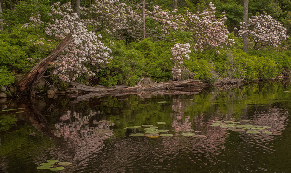 Spring on the Lake-